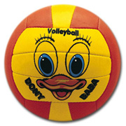 promotional volleyball